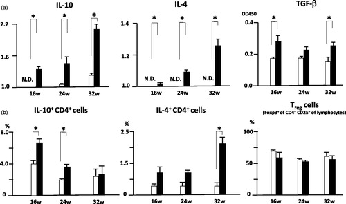 Figure 4. (a) Altered IL-10, IL-4 and TGF-β production in in vitro stimulated CD4+ T cells of S. mansoni-infected MRL/lpr mice. Spleens were removed from 16 wo, 24 wo and 32 wo infected and uninfected MRL/lpr mice, and cells were stimulated with anti-CD3+anti-CD28 mAbs. Culture supernatants were analyzed for cytokine production using Mouse Cytokine ELISA Plate Array and mouse TGF-β ELISA kit as described in the Methods. Data are mean intensity and absorbance unit ± SD of three mice per group. *p < 0.05 by unpaired t test, black bar; infected MRL/lpr mice and white bar; uninfected MRL/lpr mice. (b) Altered IL-10 and IL-4 production in CD4+ T cells of S. mansoni-infected MRL/lpr mice. Spleens were removed from 16 wo, 24 wo and 32 wo infected and uninfected MRL/lpr mice, and intracellular cytokine staining was performed, followed by flow cytometry as described in the Methods. Data are mean percentage ± SD of three mice per group. *p < 0.05 by unpaired t test, black bar; infected MRL/lpr mice and white bar; uninfected MRL/lpr mice.