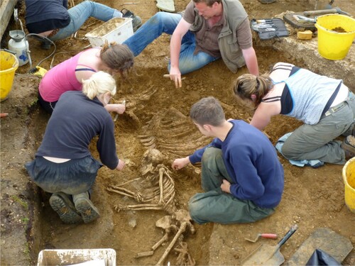 Figure 1. Woman buried alongside a cow at Oakington. The issue of whether to allow the public to view human remains during excavation was discussed at length between community members and project archaeologists with the consensus being to allow public access. Therefore, including this image here is in keeping with community preferences.