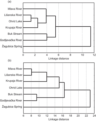 Figure 2. Phenogram of relationship among different populations based on UPGMA Cluster Analysis of Squared Mahalanobis Distances (characters of skull (a) and visceral bones (b) ).