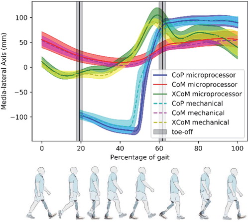 Figure 1. Mean trajectories (and standard deviation) of CoM, CoM, and XCoM for all trials with an illustration of the typical prosthetic gait cycle (Rajťúková et al. Citation2014).