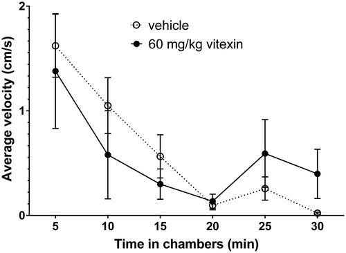 Figure 3. The effect of 60 mg/kg vitexin on rat spontaneous activity. Rats were injected i.p. with either the vehicle (5% DMSO, 5% Tween-80, 90% saline) or 60 mg/kg vitexin and were returned to their home cages for 30 min before being placed in the spontaneous activity chambers and their activity recorded for 30 min. Data shown are mean ± SEM for average velocity over each 5-min period (n = 4 per treatment). No significant differences (p = 0.374) were observed by 2-way ANOVA (time versus treatment).