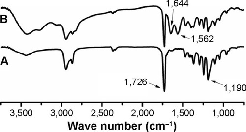 Figure 3 FTIR spectra of the diblock intermediates PEG-PCL-COOH (A) and PCI (B).Abbreviations: PEG, poly(ethylene glycol); PCL, poly(ε-caprolactone); PCI, poly (ethylene glycol)-poly(ε-caprolactone)-g-polyethyleneimine; FTIR, Fourier transform infrared spectroscopy.