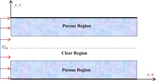 Figure 2. A schematic diagram of the flow through two parallel-plate channel partially filled with two porous substrates.