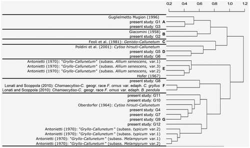 Figure 4. Cluster analysis (II) on data sets from our unpublished relevés (G1–G12) and from publications regarding heathlands in the study area. Seven groups (A–G) were recognized in the dendrogram, correspondingly assigned to five associations: A, Salici rosmarinifoliae–Callunetum; B, Jasiono montanae–Callunetum; C, a nameless Illyrian association; D, Cytiso supini–Antennarietum; E–F, Chamaecytiso hirsuti–Callunetum.