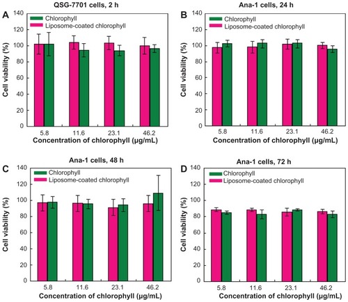 Figure 5 Viability of liver cells (QSG-7701) and macrophage (Ana-1) cells after incubation with chlorophyll and liposome-coated chlorophyll nanocomposites for different time periods.