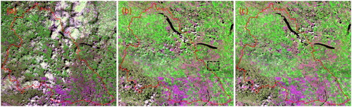 Figure 3. Color-composited surface reflectance maps (SWIR: red channel, NIR: green channel, RED: blue channel) from (a) the composite image produced by using Landsat-7 imagery only (b) the composite image produced by using Landsat-8 only and (c) the composite image produced by using both Landsat-7 and Landsat-8 imagery.