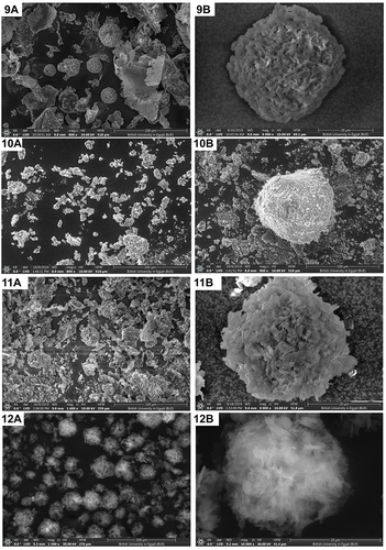 Figure 1 The SEM images of F1 to F12, where 1A to 12A showing images of the field and 1B to 12B showing images of a single microsponge particle.