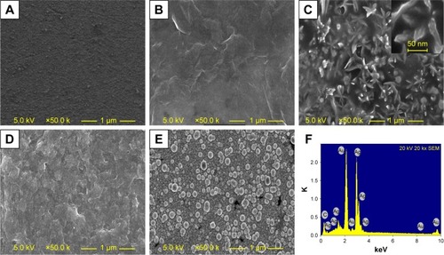 Figure 3 Characterization of the ChOx&ChEt/Au NPs/rGO-PAMAM-Fc biosensor.Notes: SEM images of (A) bare electrode, (B) rGO-PAMAM-Fc/GE, (C) Au NPs/rGO-PAMAM-Fc/GE, (D) ChOx&ChEt/Au NPs/rGO-PAMAM-Fc/GE, and (E) Ag/ChOx&ChEt/ Au NPs/rGO-PAMAM-Fc/GE. (F) EDS image of Ag/ChOx&ChEt/Au NPs/rGO-PAMAM-Fc/GE.Abbreviations: EDS, energy dispersive spectrometer; Fc, ferrocene; GE, gold electrode; NPs, nanoparticles; PAMAM, polyamidoamine; rGO, reduced graphene oxide; SEM, scanning electron microscope.