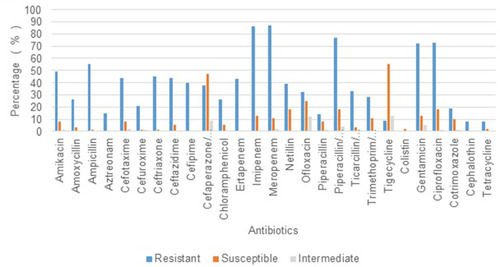 Figure 2 (N = 100): Percentage of isolates showing resistance to particular antibiotics.