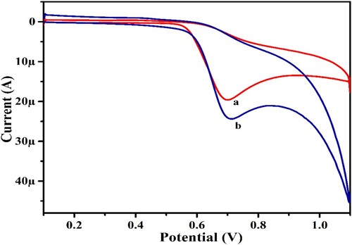 Figure 2. CV output for PYX at BCPS (curve a) and UGCPS (curve b) at a scan rate of 0.1 V/s.