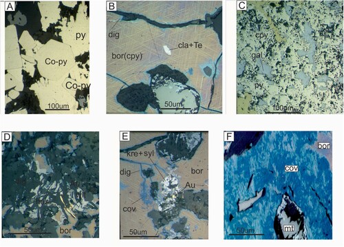 Figure 3. Microphotos of typical ore minerals and parageneses. A. Subhedral Co-rich pyrite (py) adjacent to more anhedral Co-free pyrite. B. Clausthalite (cla) intergrown with native Te enclosed in bornite (bor). Bornite is typically containing lamellae of chalcopyrite (cpy). digenite (díg) is seen along cracks. C. Galena (gal) intergrown with pyrite (py) and subordinate amounts of chalcopyrite (cpy). D. Hessite (hes) is intergrown with wittichenite (wit) both associated with bornite and isolated grains in a silicate matrix. Digenite (dig) is seen along borders to bornite, whereas gold (Au) occurs partly in contact with wittichenite (wit). E. An aggregate of krennerite (kre) and sylvanite (syl) is seen associated with gold (Au) in a bornite-dominated paragenesis. Covelline (cov) and digenite (dig) are concentrated along cracks. F. Growth of covelline at the expense of bornite. The magnetite grain (mt) is partly martitisised.