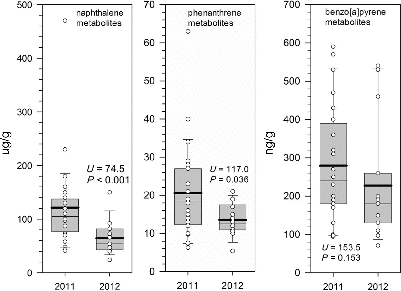 FIGURE 4. Changes in the concentration of PAH metabolites (for naphthalene, phenanthrene, and benzo[a]pyrene) sampled from Red Snapper bile obtained in the NGM in 2011 and 2012. The U statistic is from the Mann–Whitney rank-sum test for differences in the median. The dark horizontal lines are mean values, the lighter horizontal bars inside the boxes are the medians, the shaded boxes are the interquartile ranges, the whiskers represent the 10th and 90th percentiles, and the white circles are individual samples.