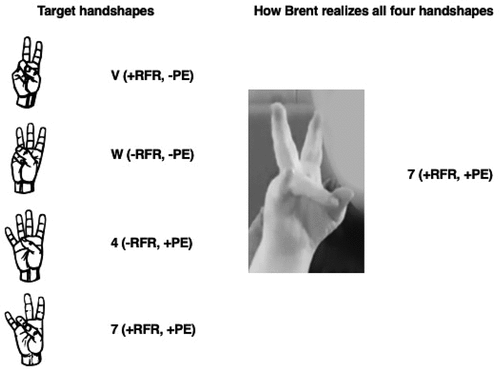 Figure 2. Four American sign Language (ASL) handshapes that are often rendered identical in Brent’s signing (all are realized as a 7 handshape) due to the intrusion of pinky extension (PE) and retracted ring finger (RFR). At times, this ‘7’ handshape is produced with index and middle finger close together.