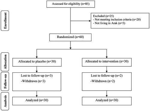 Figure 1. Summary of patient flow through the study.