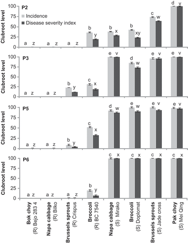 Fig. 1. Clubroot incidence (%) and severity (disease severity index) of the Brassica vegetables inoculated with field collected Plasmodiophora brassicae pathotypes 2 (ECD 16/15/31), 3 (ECD 16/15/12), 5 (ECD 16/15/0) and 6 (ECD 16/0/14) under controlled environment. Bars with the same letter above do not differ based on Tukey's test at P < 0.05. Capped lines represent ± SE.