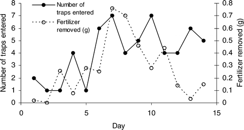 FIGURE 4 The number of traps entered per day (solid line and solid circle) and the total fertilizer removed (g) per day (dotted line and open circle). There was no correlation between number of traps entered and total mass of fertilizer removed (r  =  0.356, P  =  0.212). If only the first 9 days are used for analysis, then r  =  0.616 and P  =  0.077.