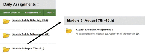 Figure 1. Student view of daily assignments.