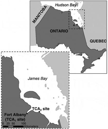 Figure 1. Fort Albany First Nation, James Bay, Ontario, Canada.