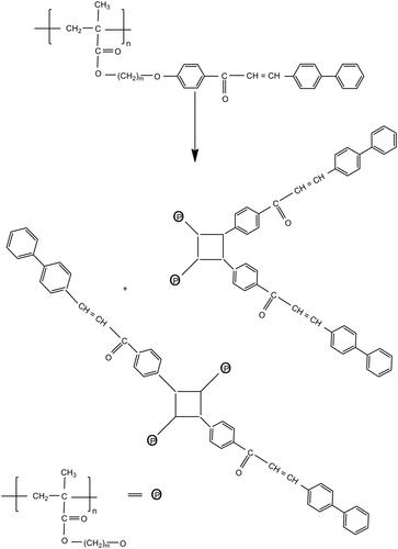 Scheme 2. Photocrosslinking reactions (2π + 2π cycloaddition) of polymers.