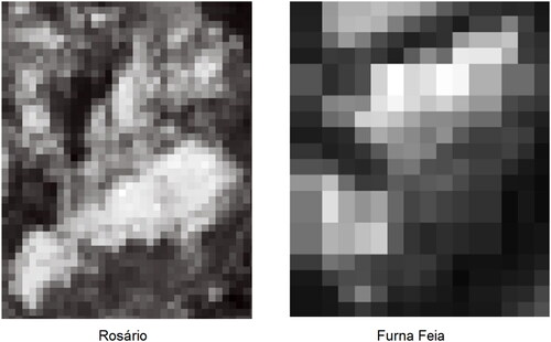 Figure 13. Result generated after adaptation for Rosário and Furna Feia outcrops (target domains). Grey scale images vary from zero (no carbonates) to one (totally occupied by carbonates). Visual results are very similar to what was found in 13, however quality scores depicted in Table 3 show overall improvements.