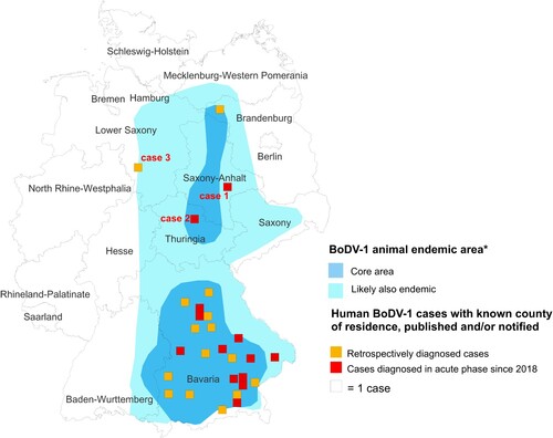 Figure 1. Geographical location of the human BoDV-1 encephalitis cases of this report and other cases with known county of residence (published/notified) in relation to the virus-endemic area. The human cases reported in this study are shown together with previously published BoDV-1 infections of humans (yellow and orange squares) in the map. The area known to be endemic for animal Borna disease or presence of BoDV-1 positive shrews is represented by the two shades of blue (*Source: https://www.rki.de/DE/Content/InfAZ/B/Bornavirus/Merkblatt.pdf?__blob=publicationFile).