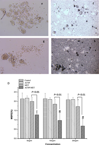 Figure 5 Continued.