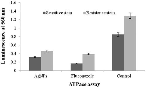 Figure 8. Biofilm quantification of Candida tropicalis by ATPase assay.