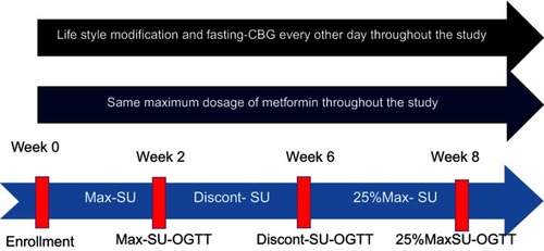 Figure 1 Study protocol in type 2 diabetic patients who failed to maintain optimal glycemic control with a combination of maximum dosages of metformin and sulfonylurea (MFM-SUF group). Notes: After enrollment, the patients were standardized for lifestyle management and were assigned to continue the maximum daily dosage of the same sulfonylurea and the same dosages of metformin for 2 weeks, and then underwent the first OGTT, the Max-SU OGTT. After the Max-SU OGTT, the patients were assigned to discontinue their SU but continue taking the same dosages of metformin. After discontinuation of SU for 4 weeks, the second OGTT, the Discont-SU OGTT, was performed and then the same SU was restarted at 25% of the recommended maximum dose. After taking 25%Max-SU for 4 weeks, the third OGTT, the 25%Max-SU OGTT, was performed. Abbreviations: CBG, capillary blood glucose; OGTT, oral glucose tolerance test; SU, sulfonylurea.