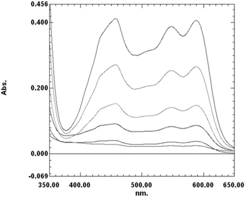 Figure 5 Absorption curve of NSG–DDQ CT complex (10, 20, 40, 80, 100, and 120 ppm).