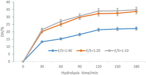 Figure 1. Oats globulin DH changes during hydrolysis by alcalase at different E/S ratios.Figura 1. Cambios de DH de globulina de avena durante la hidrólisis por subtilisina a diferentes ratios E/S