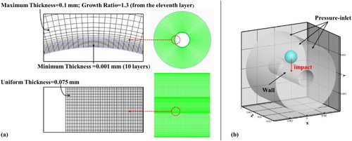 Figure 3. (a) The computational mesh; (b) Schematic drawing of the numerical model and the boundary conditions.