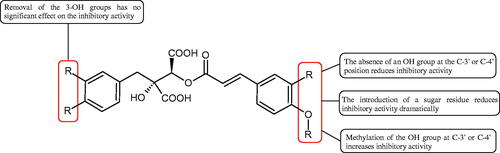 Figure 5. Potential groups engaged in an interaction fukiic acid derivative-hyaluronidase.