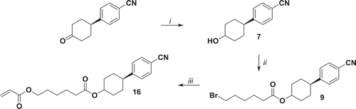 Figure 3. Synthesis of compound 16. i: NaBH4, MeOH, r.t. 90 min. ii: 6-bromohexanoyl chloride, NEt3, THF, 0°C 1 h, r.t. 16 h; iii: potassium acrylate, KI, DMSO, 52°C 72 h