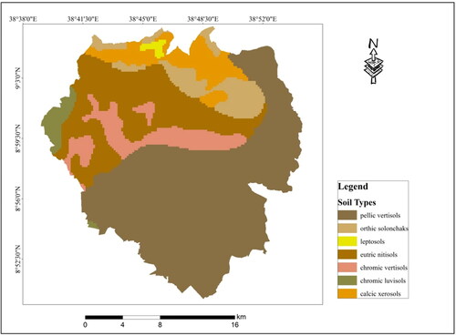 Figure 9. Soil types of the study area.“Source: Author’s own conception.”