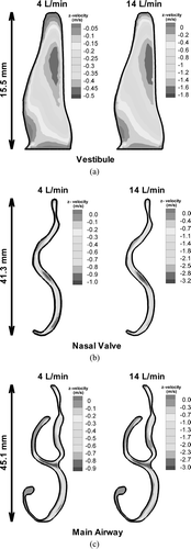 FIG. 7 Axial velocity contours in different coronal sections of the nasal cavity for different breathing rates, (a) Vestibule, (b) Nasal Valve, (c) Main Airway.