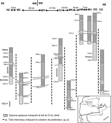 Fig. 4 Corrélation des sondages d'eau captant le CI du Jérid.