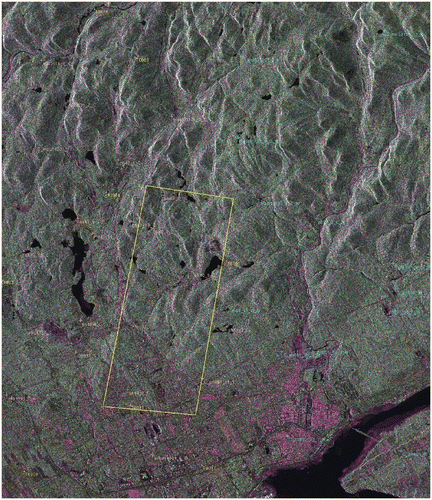 Figure 3. R(HH)/G(VH)/B(VV) composite with slant-range fine-quad image (FQ5): Québec City, St. Lawrence river with Île d’Orléans are on the bottom right. Note: Cities appear in reddish due to more double bounce scattering with HH and VV than VH polarisations. The Lidar elevation data coverage (5 × 13 km) is overlaid (yellow rectangle). ‘RADARSAT-2 Data © MacDONALD, DETTWILER AND ASSOCIATES LTD. (2008)–All Rights Reserved’ and courtesy of Canadian Space Agency.