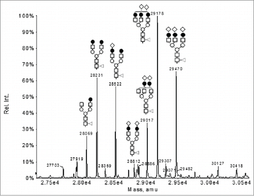 Figure 4. Deconvoluted mass spectrum of the ion species under peak 3 in Figure 3 in the LC-MS analysis of the partially reduced F4 sample.