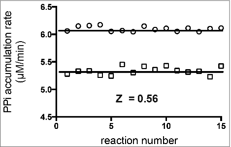 Figure 4. Scatter plot for determination of the Z'-factor for a reaction containing four aaRSs. The Z'-factor was calculated according to the formula described by Zhang et al. A negative control (representing no inhibition, circles) consisted of four aaRSs (Pf-AlaRS, Ec-LysRS, Ec-ThrRS, and Ec-IleRS) assayed simultaneously, with each contributing to the synthesis of PPi at an equal rate (1.5 µM/min). In the positive control (squares), the concentration of IleRS was cut in half in order to mimic 50 percent inhibition of a single enzyme. The Z'-factor calculated from fifteen replicate experiments was 0.56. Amino acids were supplied at concentrations near their K m values (Table 1) (20 mM L-Gly, 45 mM homocysteine, 20 mM L-Ser, and 2 mM L-Val).