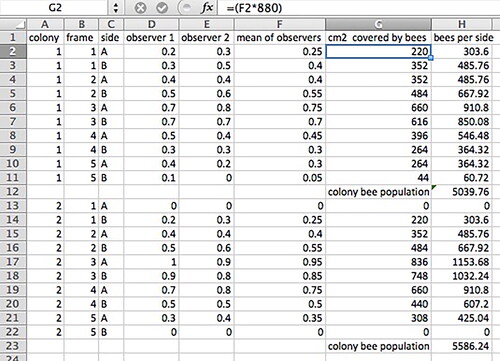 Figure 8. Example of a datasheet for converting raw observer data into colony honey bee (Apis mellifera) population.