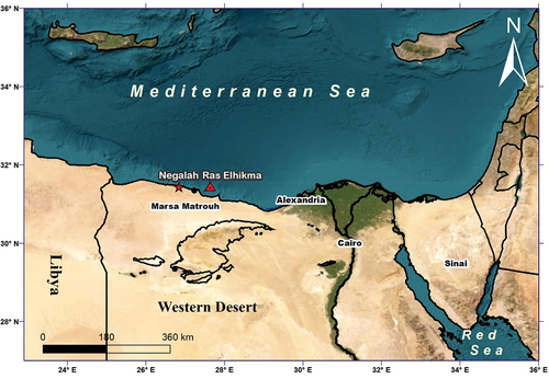 Figure 1. The northern part of the Western Desert, the location of the April 2020 EL-Negalah earthquake (red star) and Ras Elhikma earthquake (red triangle).