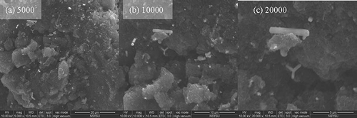 Figure 2. ESEM photos of sulfur-impregnated activated carbons.