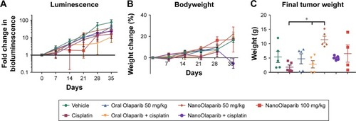 Figure 5 NanoOlaparib administered twice weekly at 50 or 100 mg/kg as a monotherapy or in combination with cisplatin in a Brca2−/−, Tp53−/−, Pten−/− intraperitoneal spread model showed no efficacy after 5 weeks.Notes: (A) Bioluminescence measurements show the disease progression over 5 weeks of treatment. (B) Bodyweight measurements indicate no apparent gross toxicity in any of the treatment groups. (C) Final tumor weights serve as a quantitative measure of disease burden at the end of the study. The data did not follow a normal distribution therefore significance was tested with Kruskal–Wallis one-way ANOVA followed by Dunn’s test at α=0.05. Statistically significant decreases in tumor weights were seen in both cisplatin-treated tumors vs NanoOlaparib and oral Olaparib + cisplatin compared to NanoOlaparib, respectively (*P<0.05).