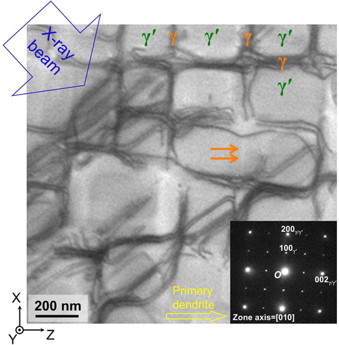 Figure 3. TEM image showing the dislocation structure of the Ni-based superalloy sample. In the upper part, γ and γ′ phases are labeled. A selected area electron diffraction pattern is inserted on the bottom right corner. Orange arrows mark a γ channel, where no dislocation is seen. The yellow arrow is parallel to the primary dendrite direction. The blue arrow indicates the direction of the microfocused X-ray beam.