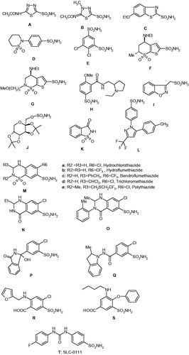 Figure 1. Clinically used sulphonamides/sulphamates with CA inhibitory action (A–S) and SLC-0111 (T) in phase II clinical trials as an antitumour/antimetastatic agentCitation18,Citation19.