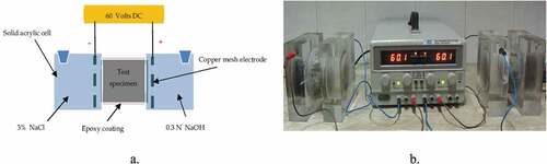 Figure 5. Schematic representation of the chloride ion penetration test (a) with a photograph of the experimental set-up (b)