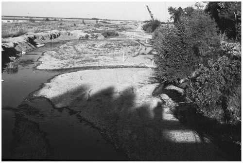 Figure 7 Low gradient channelized streams in the farmland below infill and widen with shale gravels eroded from the alluvial fans. The channels are regularly re-excavated as they approach the boundaries of the 30.2-m wide public road allowances separating square-mile farm sections (Thomson Citation1967). Baseline stakes for the re-excavation of the Wilson Creek drain are shown in the foreground.