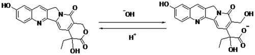 Figure 1. 10-HCPT structure and pH-dependent equilibrium of the lactone form and carboxylate form. 46 × 10 mm (300 × 300 DPI).