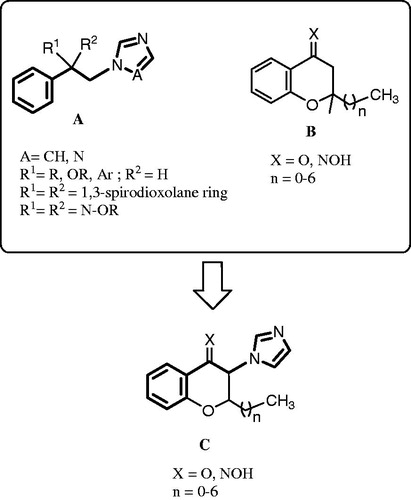 Figure 1. The common structure of azole antifungals (structure A), previously described 2-alkylchromans as non-azole inhibitors for 14α-demethylase of fungi (structure B)Citation9, and 2-alkyl-3-imidazolylchromanones designed as new inhibitors of 14α-demethylase and potential antifungal agents (structure C).