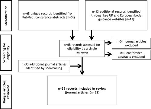Figure 1 Flowchart of included publications for main literature review.
